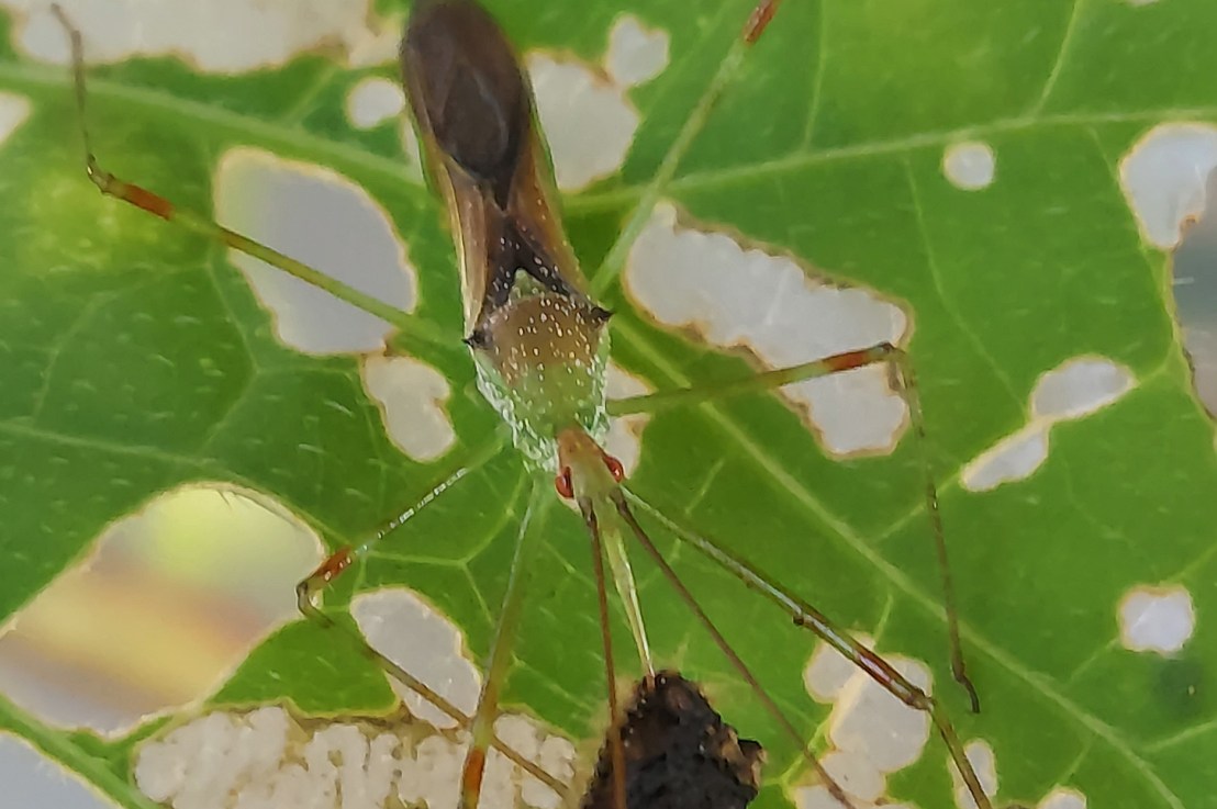 Photo of the Day: July 26,&nbsp;2024