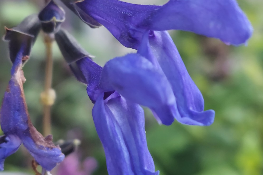 Photo of the Day: July 22,&nbsp;2024