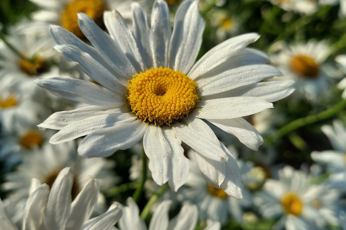 Photo of the Day: July 18,&nbsp;2024