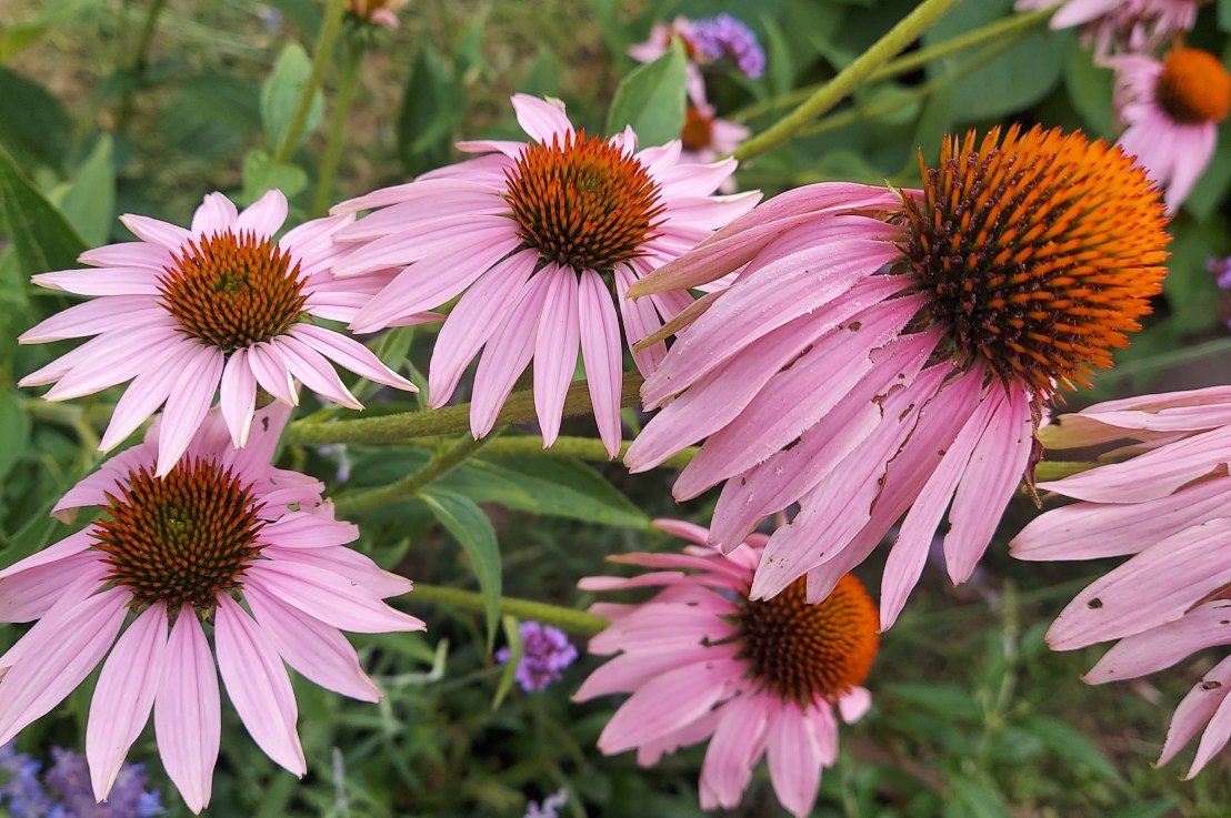 Photo of the Day: August 16,&nbsp;2024