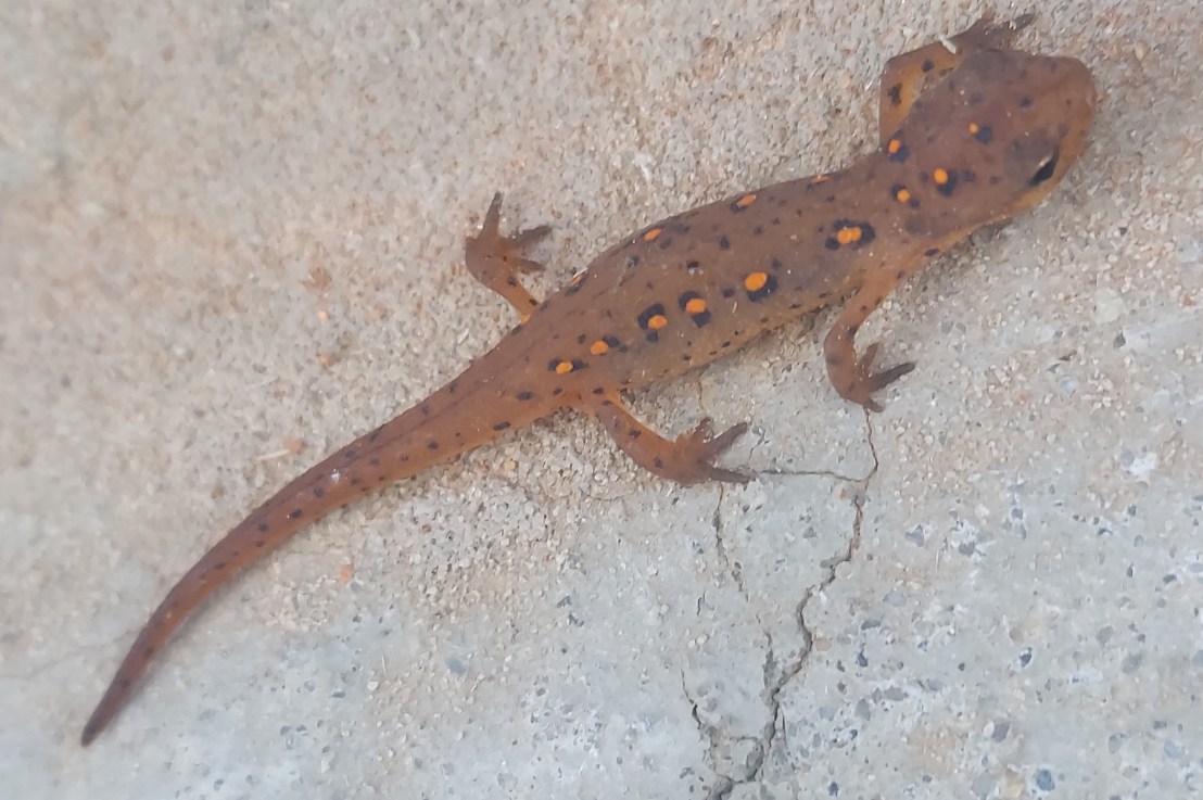 Photo of the Day: August 28,&nbsp;2024