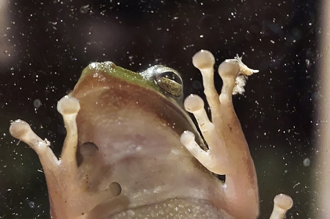 Photo of the Day: August 26,&nbsp;2024