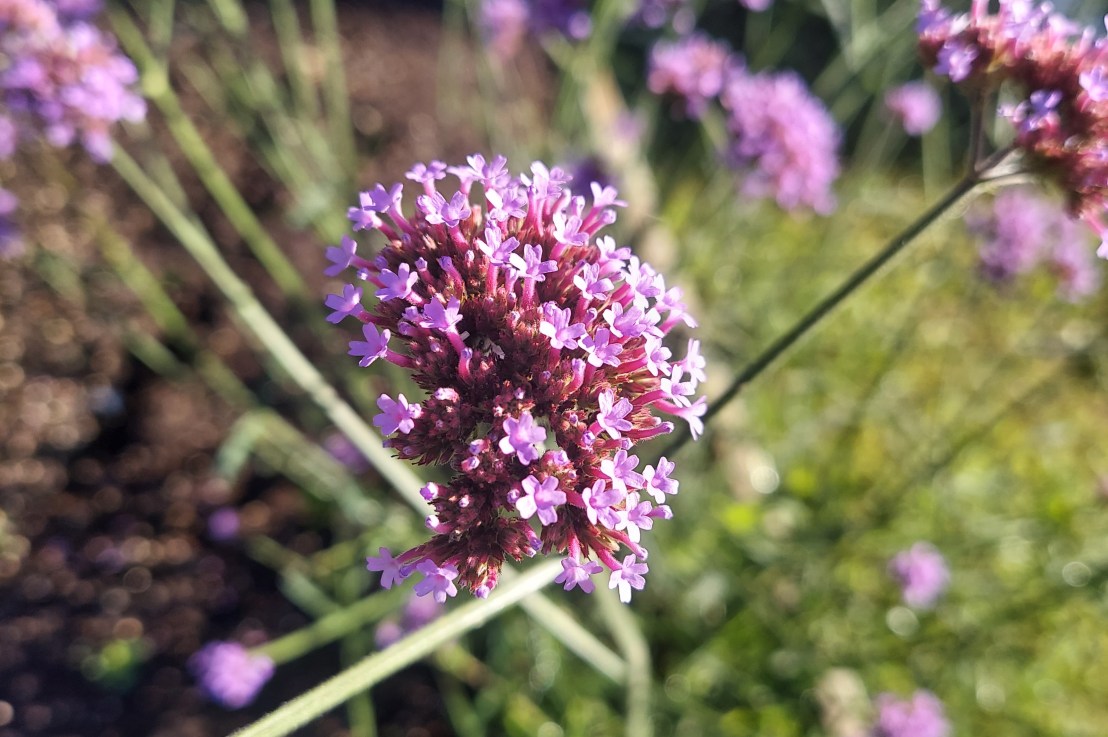 Photo of the Day: August 29,&nbsp;2024