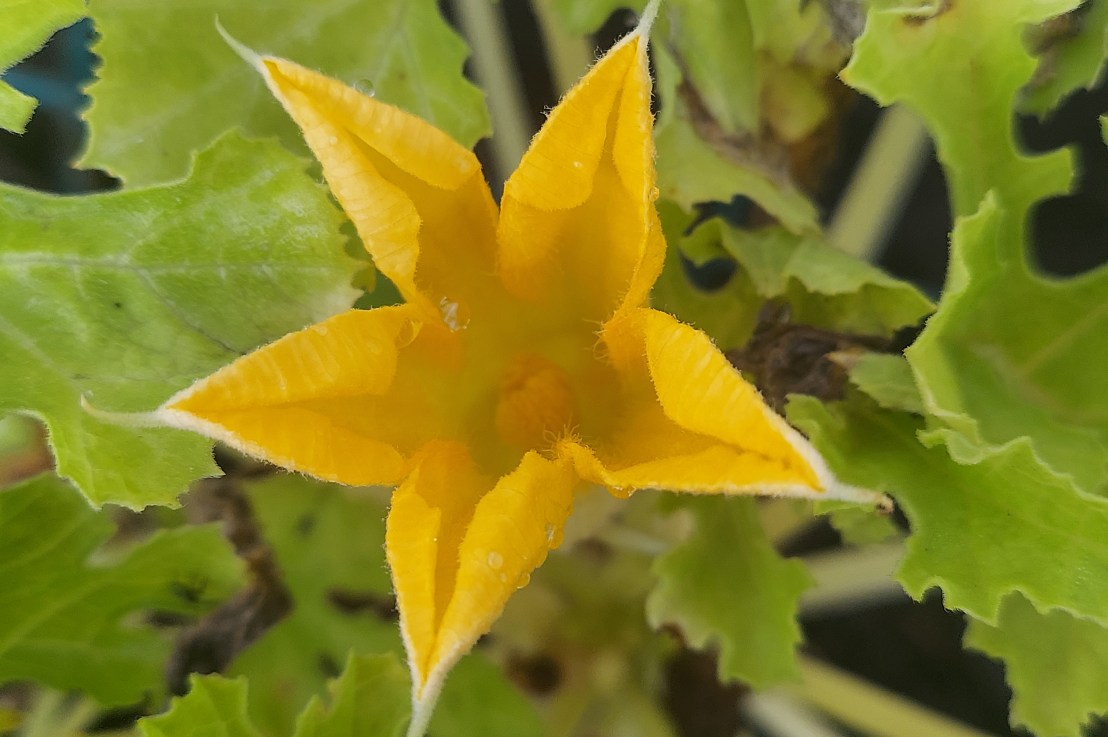 Photo of the Day: August 21,&nbsp;2024