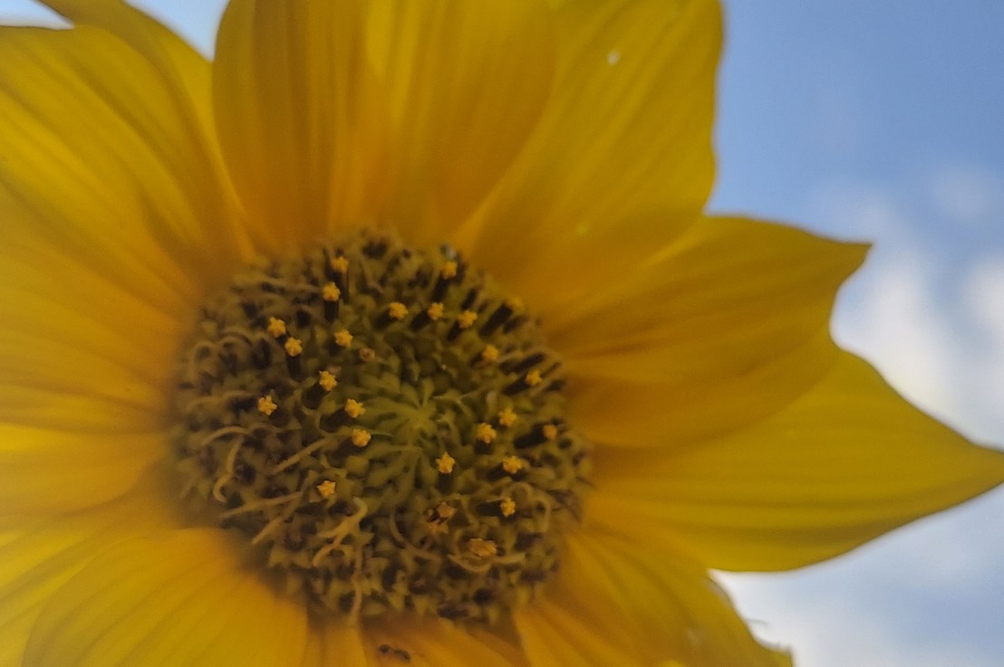 Photo of the Day: August 13,&nbsp;2024