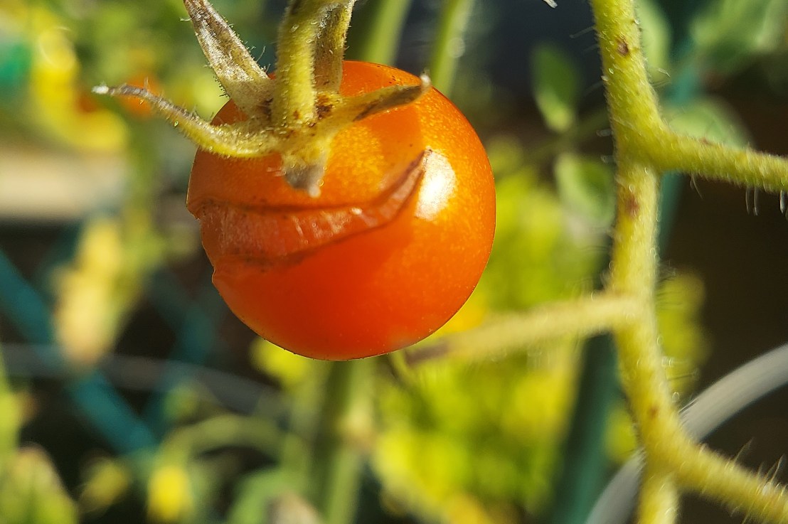 Photo of the Day: August 15,&nbsp;2024