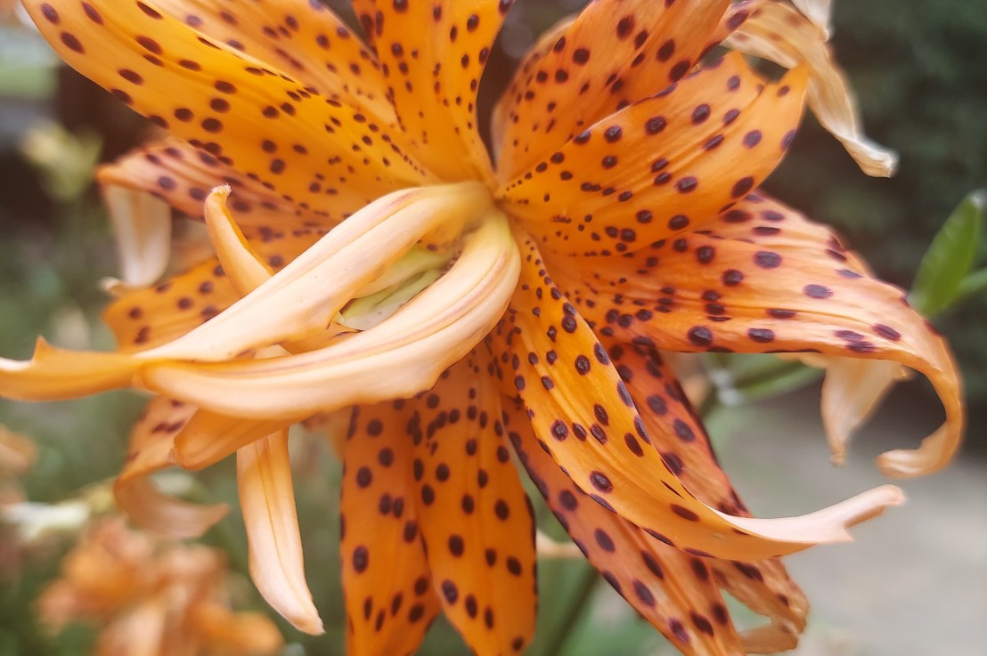 Photo of the Day: September 4,&nbsp;2024