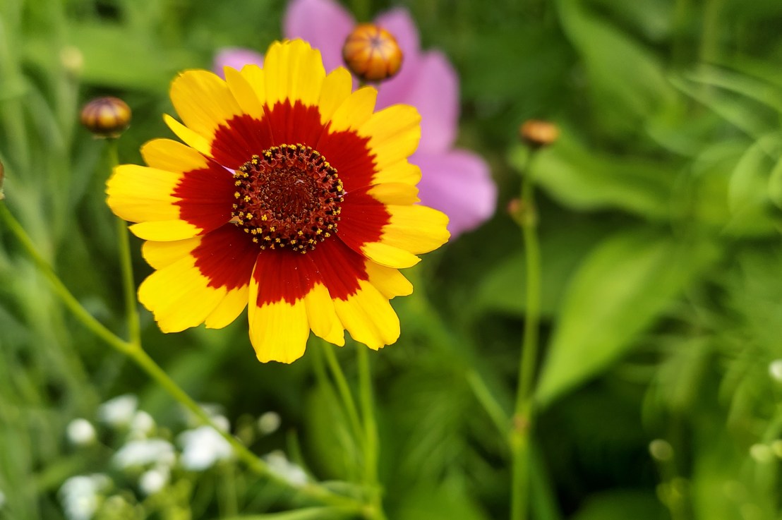 Photo of the Day: September 3,&nbsp;2024