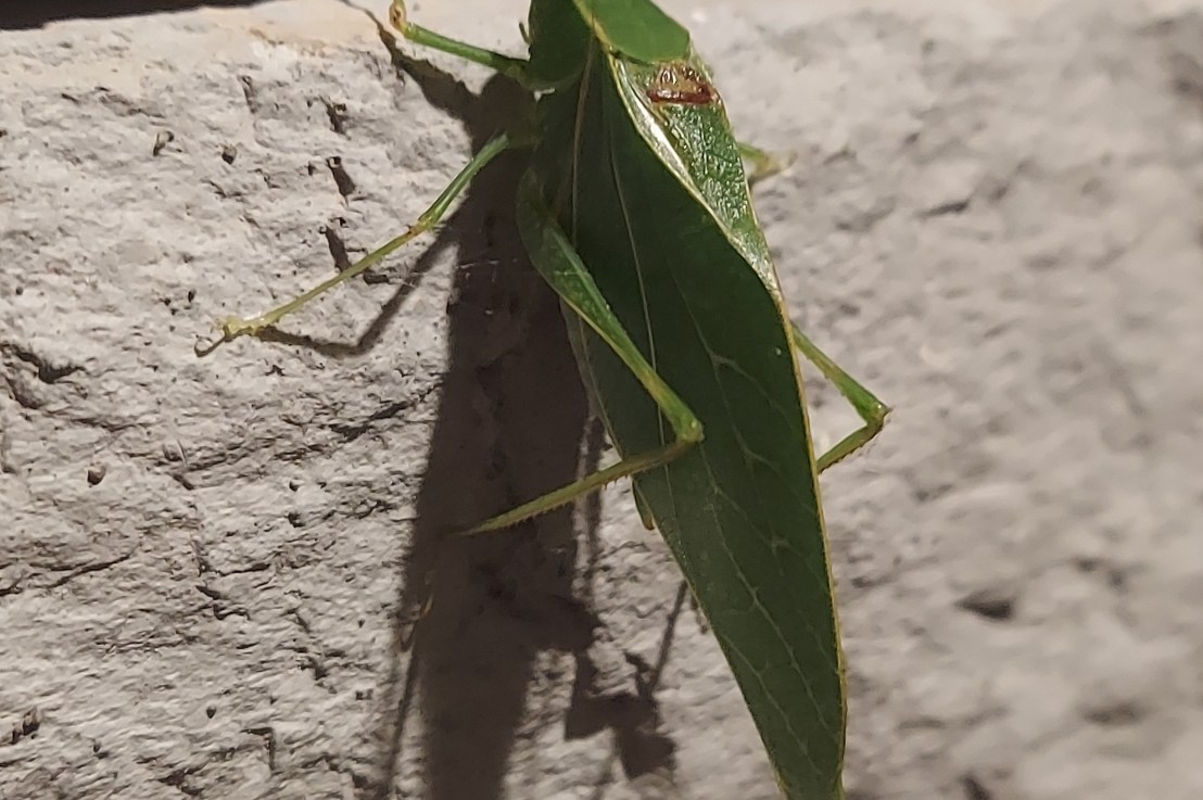 Photo of the Day: September 26,&nbsp;2024