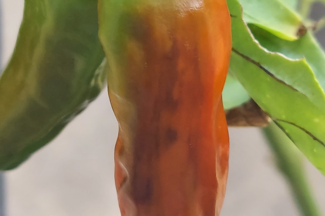 Photo of the Day: October 2,&nbsp;2024