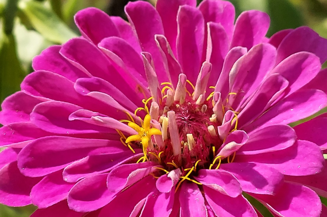 Photo of the Day: October 3,&nbsp;2024