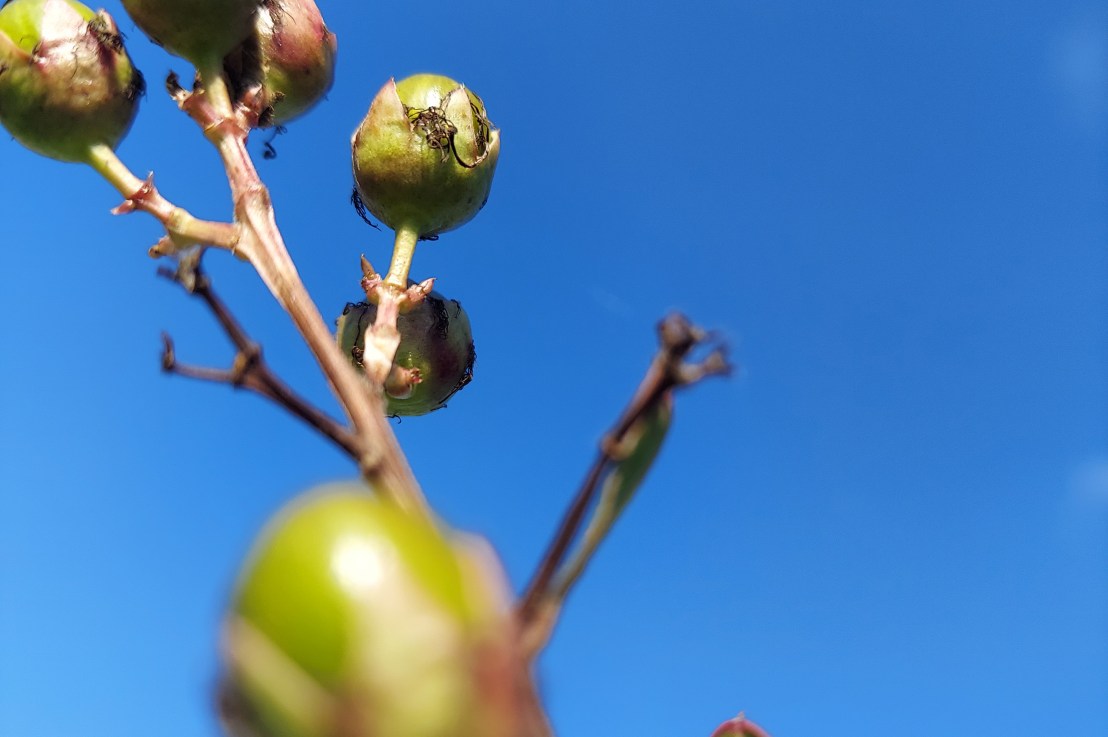 Photo of the Day: September 24,&nbsp;2024