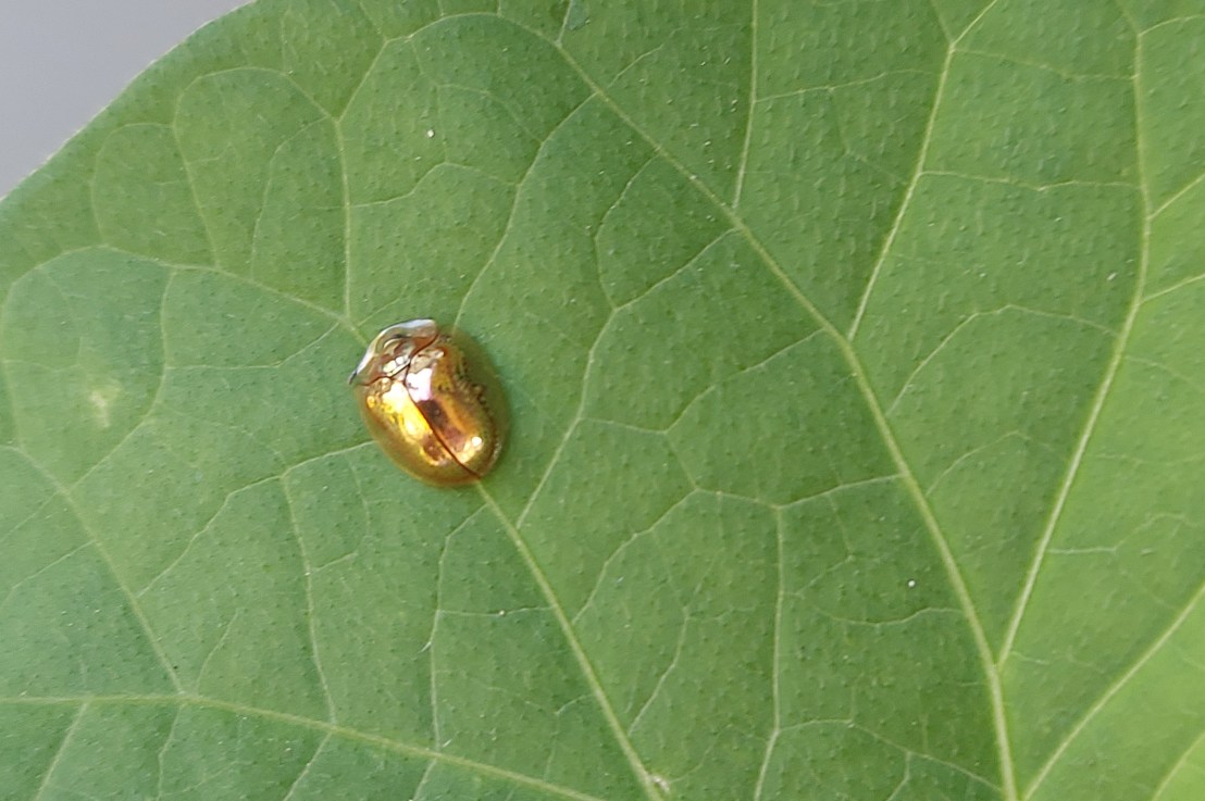 Photo of the Day: September 10,&nbsp;2024