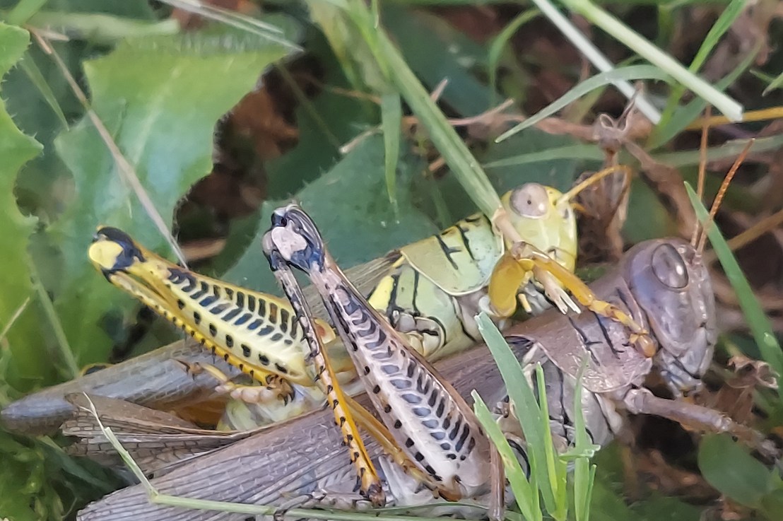 Photo of the Day: September 30,&nbsp;2024