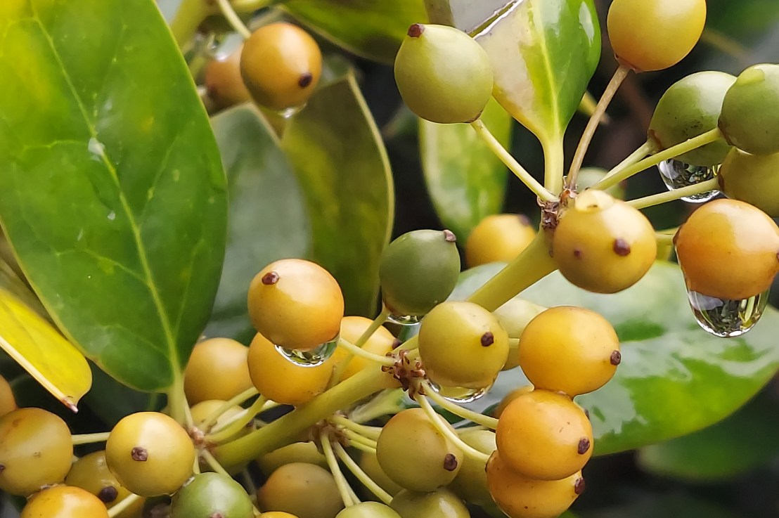 Photo of the Day: September 25,&nbsp;2024