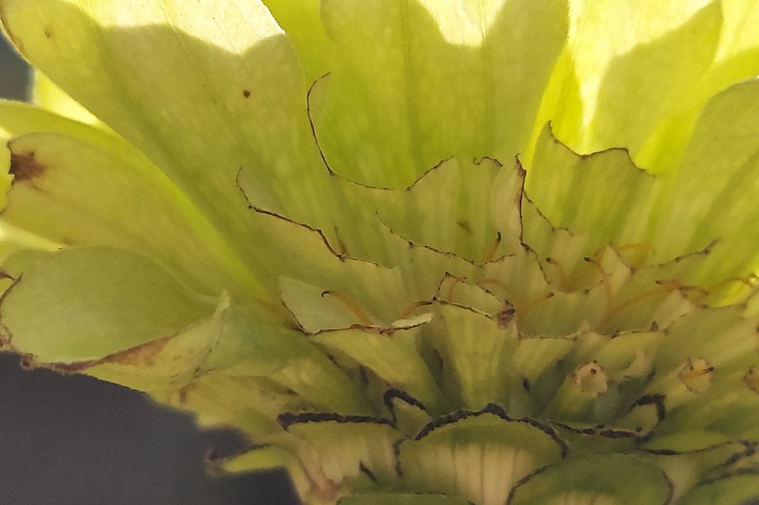 Photo of the Day: October 1,&nbsp;2024