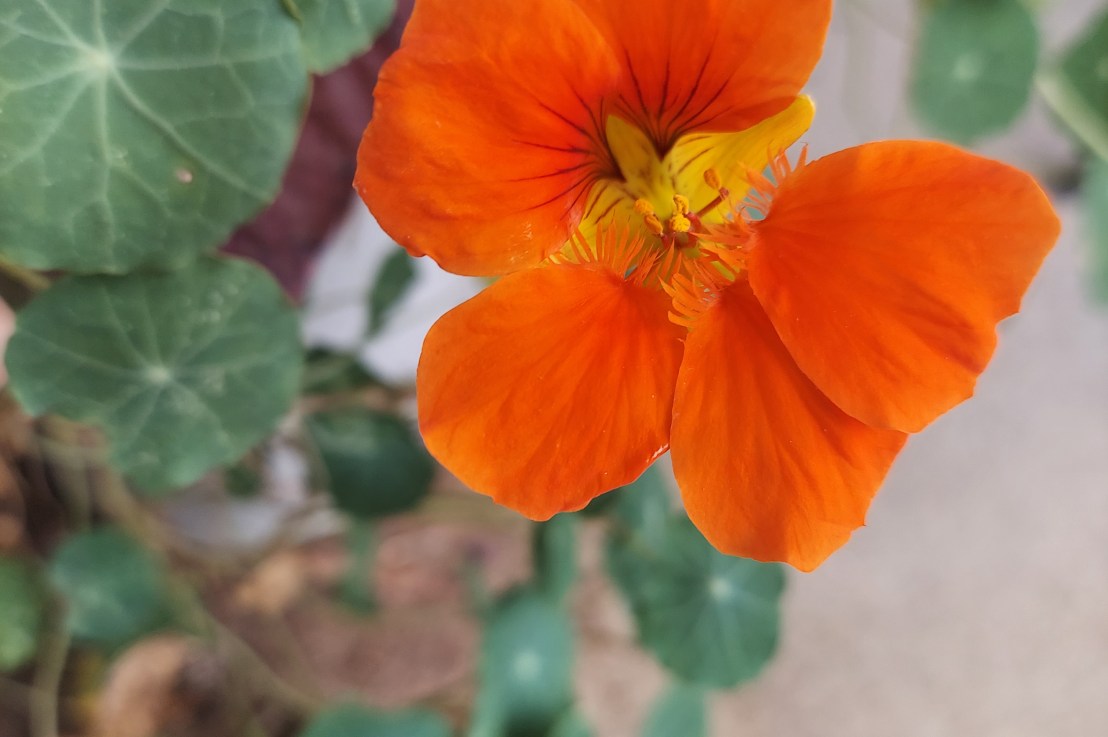 Photo of the Day: September 6,&nbsp;2024