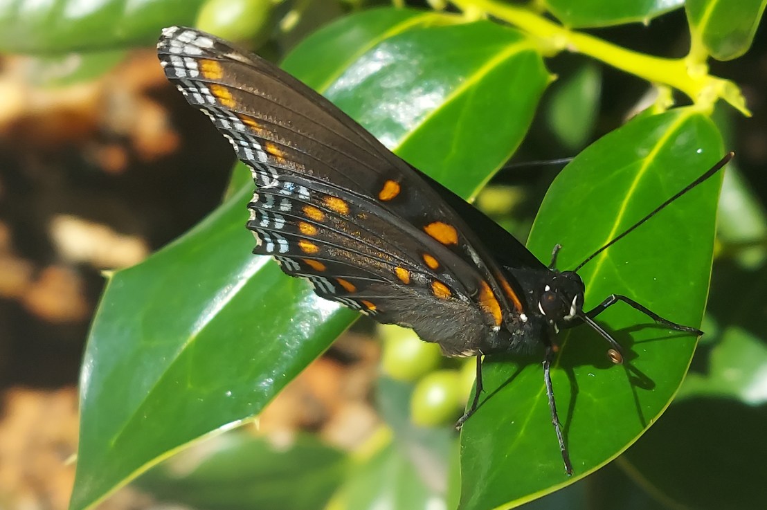 Photo of the Day: September 17,&nbsp;2024