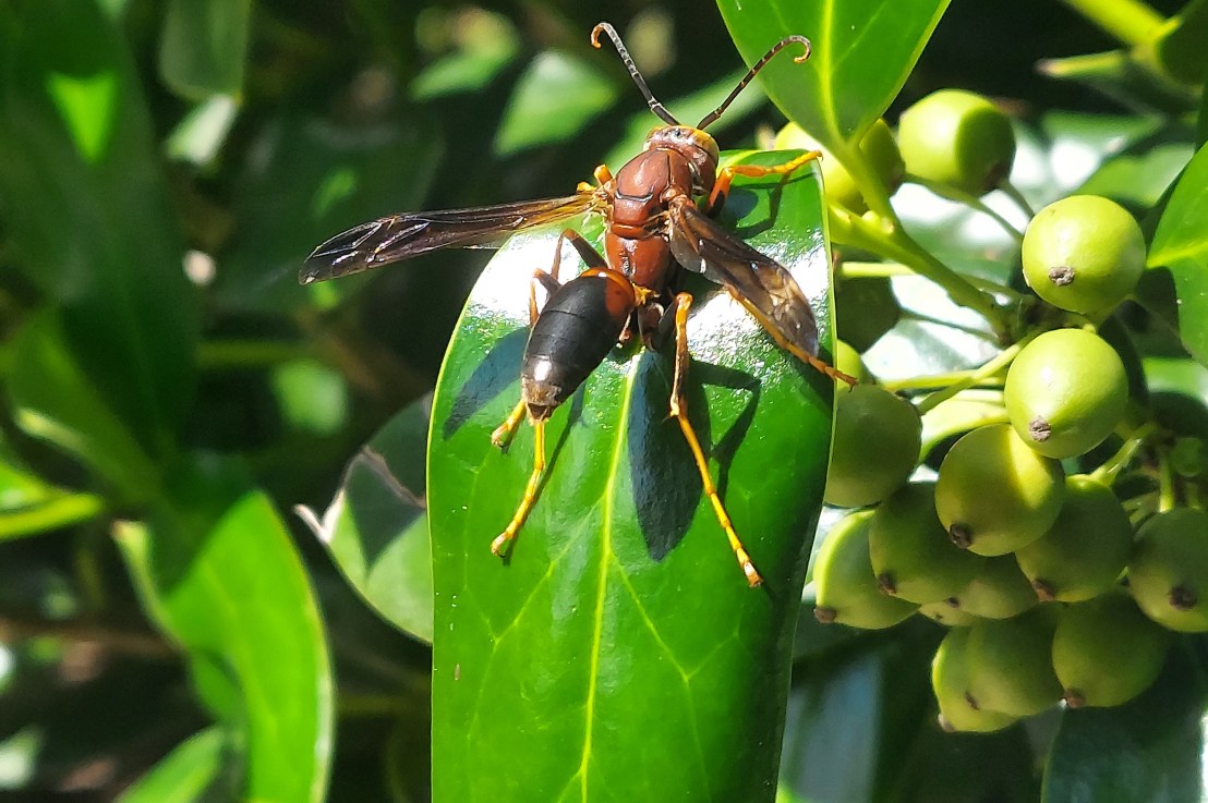 Photo of the Day: September 16,&nbsp;2024