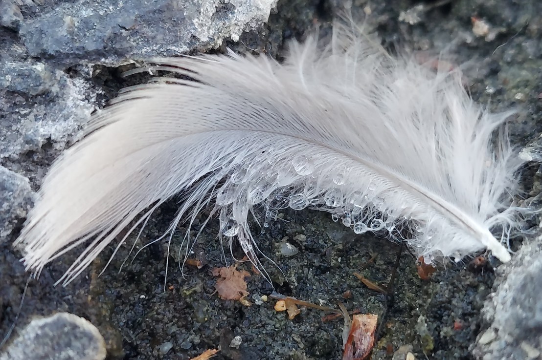 Photo of the Day: October 7,&nbsp;2024