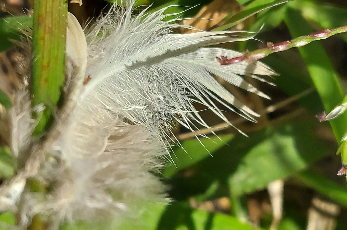 Photo of the Day: October 25,&nbsp;2024