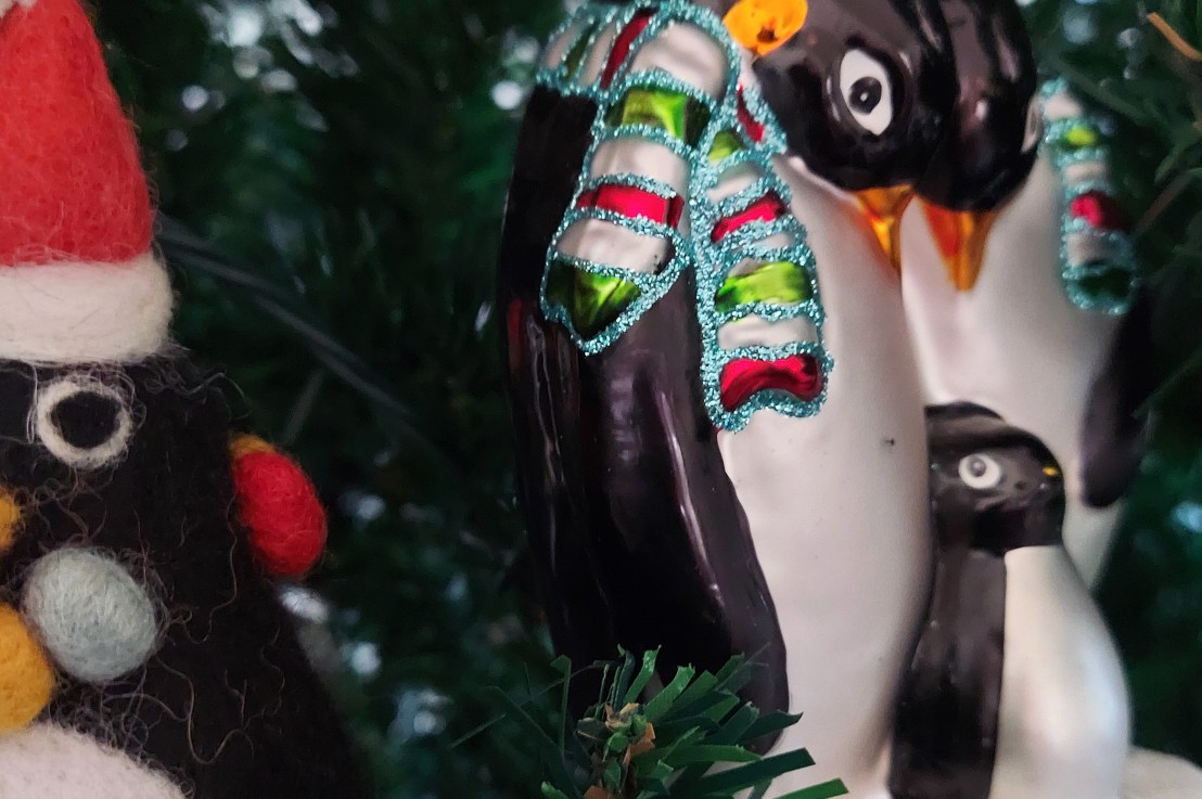 Photo of the Day: December 24,&nbsp;2024