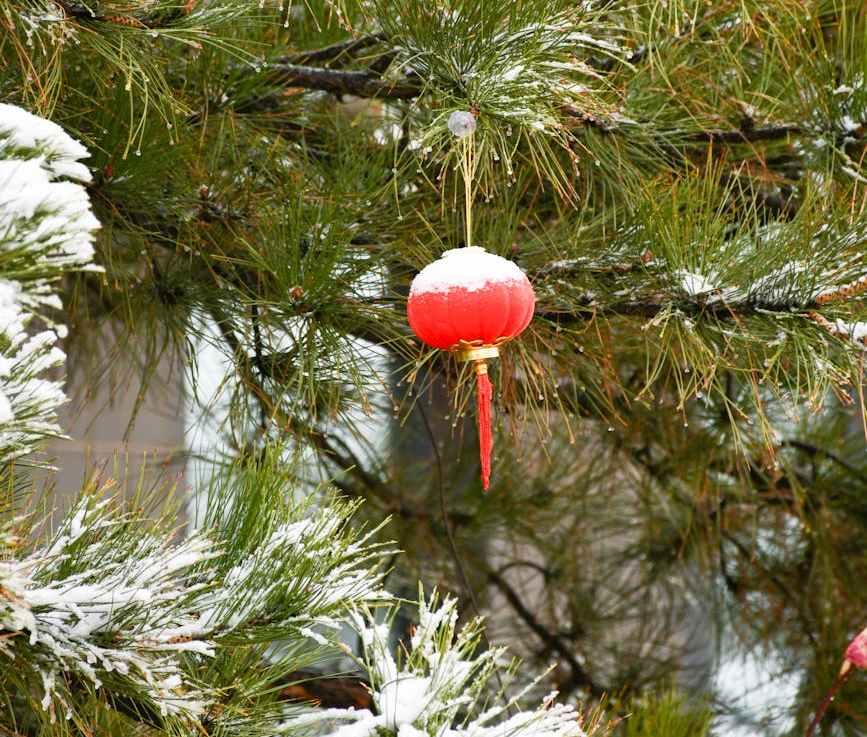 Song of the Day: December 16,&nbsp;2024