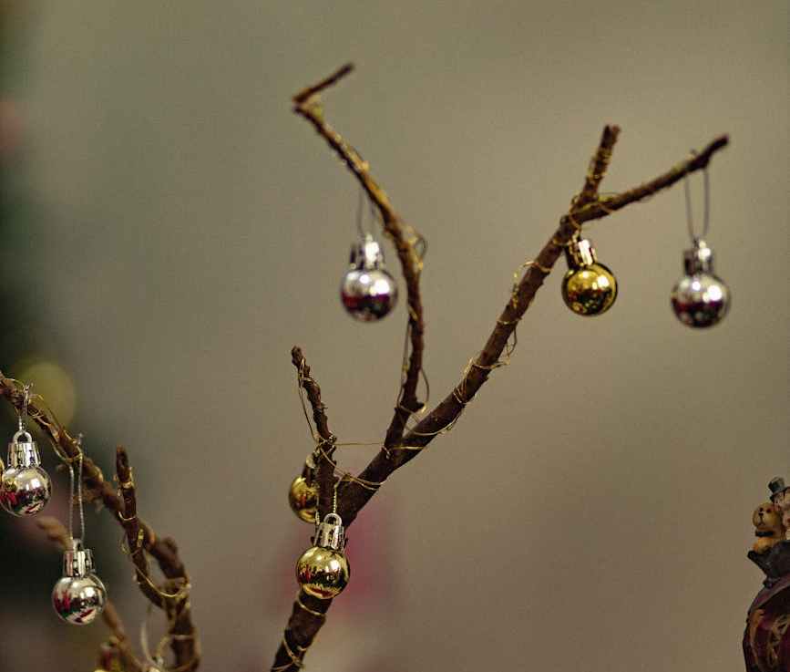 Bonus Song of the Day #2: December 17,&nbsp;2024