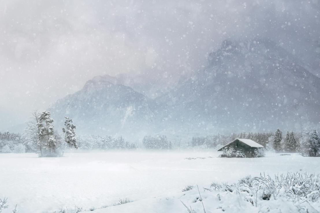 Bonus Song of the Day #2: December 19,&nbsp;2024