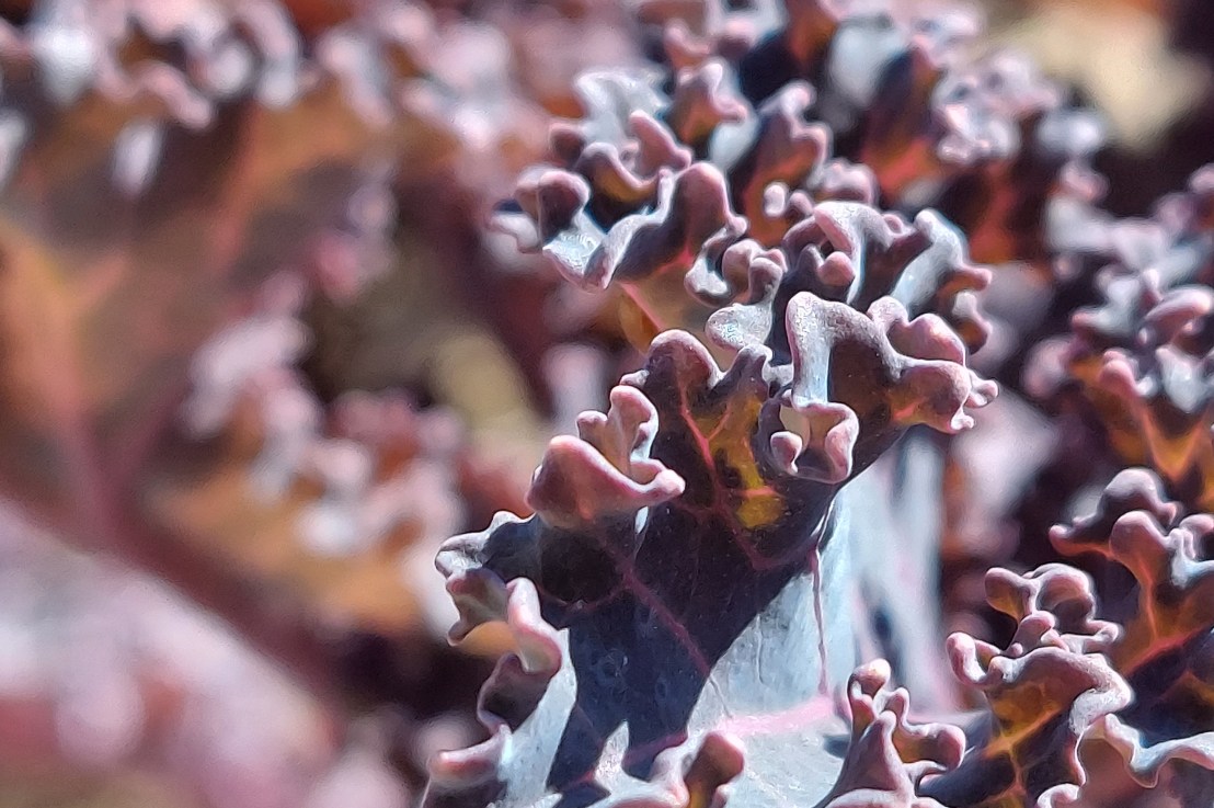 Photo of the Day: January 7,&nbsp;2025