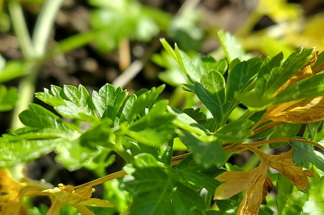 Photo of the Day: January 9,&nbsp;2025