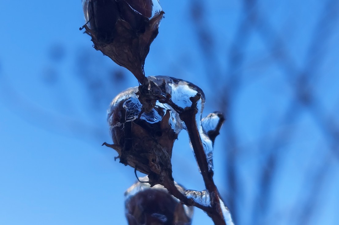 Photo of the Day: January 14,&nbsp;2025